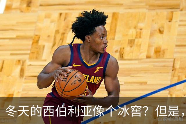 冬天的西伯利亚像个冰窖？但是，它却是俄罗斯的＂摇钱树＂
